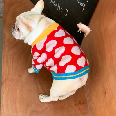 Suéter Tejido para Perros y Gatos - Diseño Rojo Otoño Invierno - Image 3