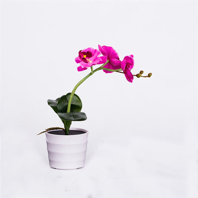 Lámpara Solar Orquídea con Mariposas Decorativas - Image 12