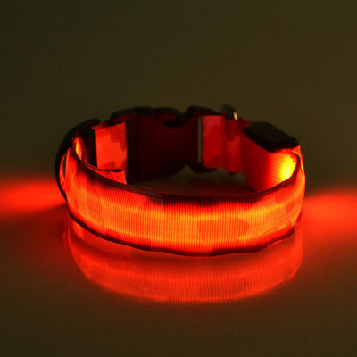 Collar Luminoso Camuflaje para Perros - Seguridad Nocturna - Image 3