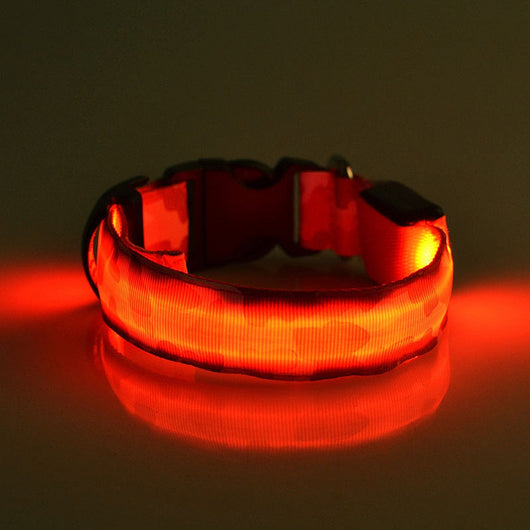 Collar Luminoso Camuflaje para Perros - Seguridad Nocturna - Image 3
