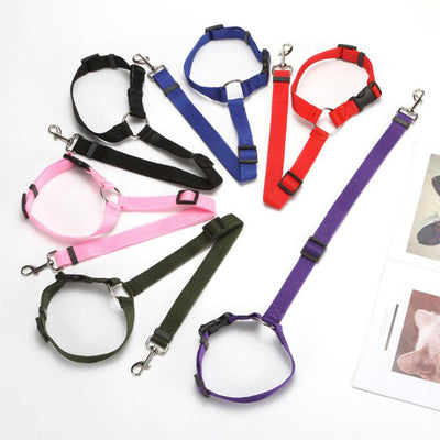 Arnés de Seguridad Multicolor para Mascotas en Auto - Image 19