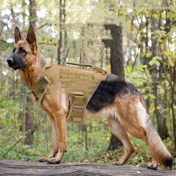 Arnés Táctico de Entrenamiento para Perros