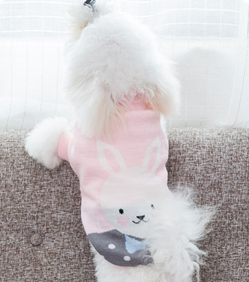 Ropa para Perros - Image 19