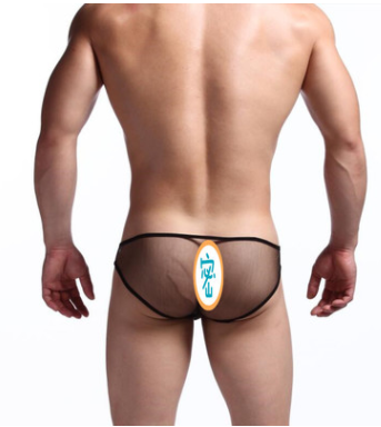 Calzoncillos Tipo Boxer de Malla Transparente Cintura Baja para Hombre