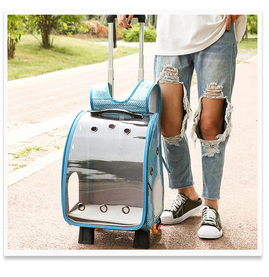 Mochila Transportadora Transparente Plegable para Perros Pequeños con Bolsillo Pañales - Image 32