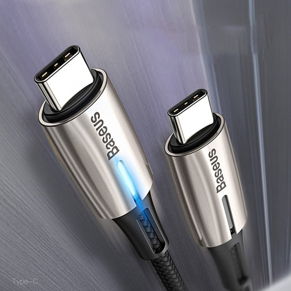 Cable Dual USB-C de Alta Velocidad