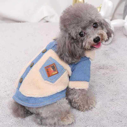 Abrigo Térmico Premium para Mascotas - Diseño Elegante y Cálido