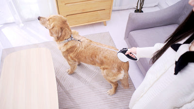 Correa Retráctil Automática para Perro con Dispensador de Bolsas - Image 21