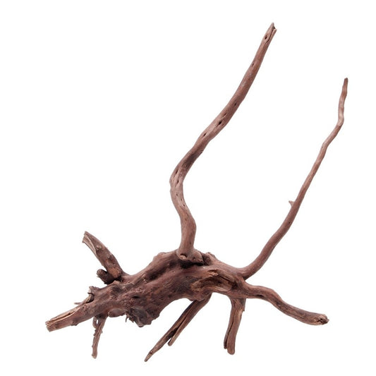 Raíz de Árbol Sumergida para Acuario - Decoración Natural de Madera - Image 2