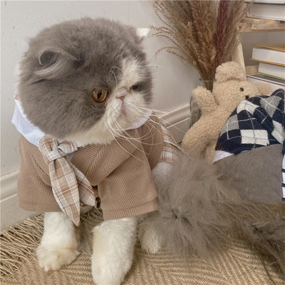Suéter de Cuadros Británicos para Mascotas - Colección Primavera - Image 6