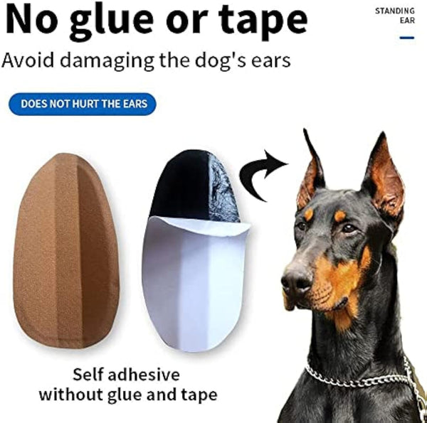 Corrector de Orejas para Perros - Soporte Adhesivo para Orejas Erguidas