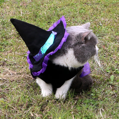 Disfraz de Mago Navideño para Mascotas - Ropa de Perro Festiva - Image 10