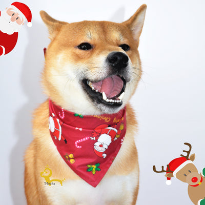 Toalla Absorbente Navideña para Mascotas - Image 2