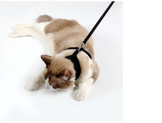 Arnés Antideslizante para Gatos - Image 6