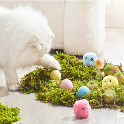 Pelota Interactiva Luminosa para Gatos con Catnip y Sonido - Image 5