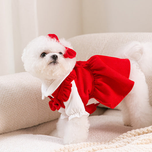 Ropa de Año Nuevo para Mascotas - Colección Festiva - Image 12