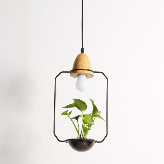 Lámpara Colgante con Plantas - Image 2