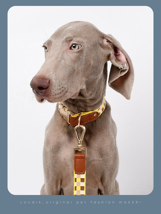 Arnés en I para Mascotas con Cuerda de Tracción - Image 22