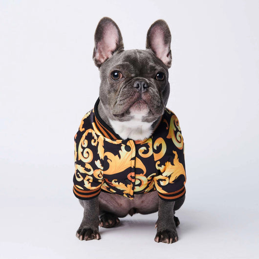 Abrigo para Perros Algodón Warm Plus - Marca Tide