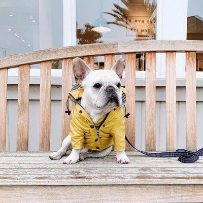 Impermeable para Perros - Abrigo Protector Contra Lluvia - Image 18
