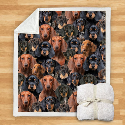 Manta Franela Estampada para Perros - Image 31