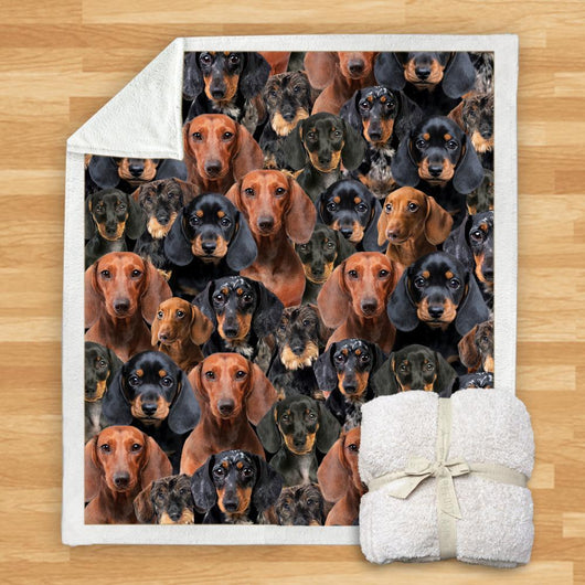 Manta Franela Estampada para Perros - Image 31