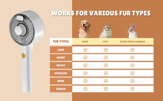 Cepillo de Vapor para Gatos con Spray Deshedding - Limpieza Profunda y Masaje - Image 13