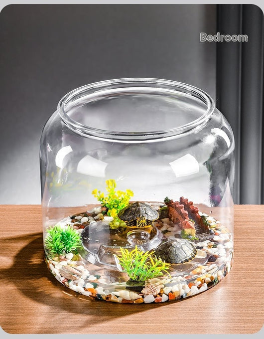 Acuario de Escritorio Ecológico con Alimentador Automático - Image 10