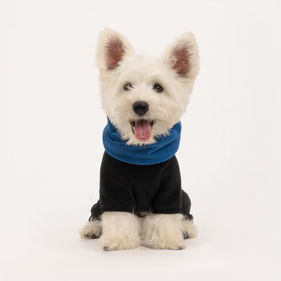 Abrigo Térmico para Mascotas con Cuello Desmontable Resistente al Viento - Image 3