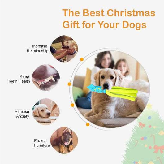 Juguete Masticable para Perros Sepia Interactivo con Sonido Squeaky - Limpieza Dental - Image 19