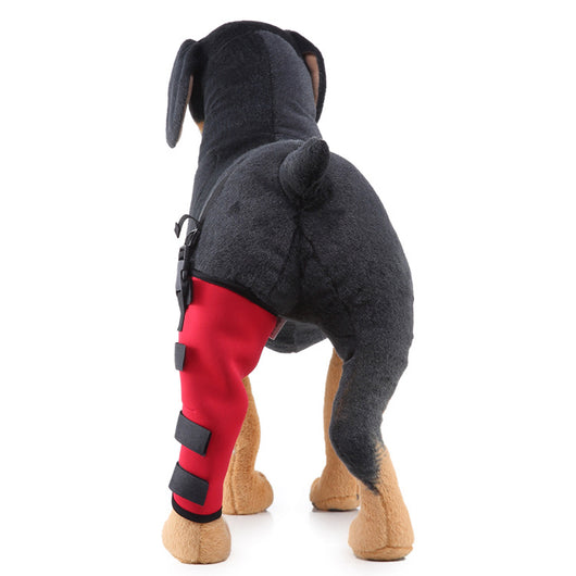 Soporte ortopédico para rehabilitación de patas en mascotas - Image 14