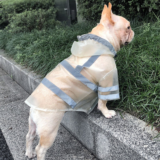 Impermeable Reflectante Transparente para Perros