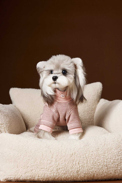 Ropa para Perros Teddy Schnauzer Bichon Bicolor Cómoda - Image 24