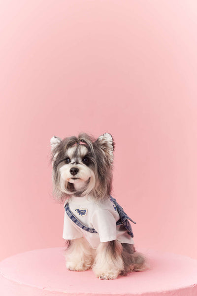 Ropa de Verano para Perros Pequeños - Teddy Schnauzer Bichón - Image 27
