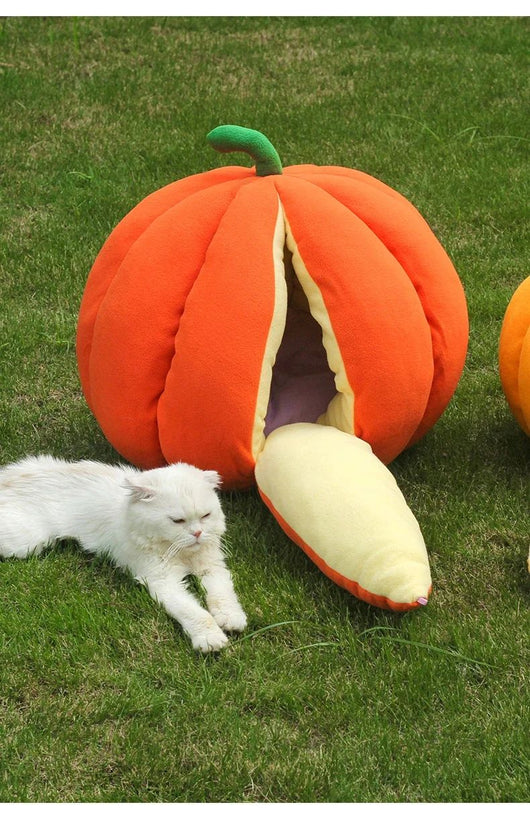 Cama Nido Cálida para Gatos - Casa Tipo Calabaza Cerrada con Bolsa de Dormir - Image 17