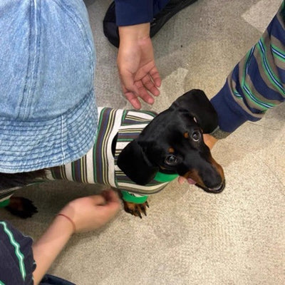 Chaleco Térmico para Mascotas - Abrigo Cálido Otoño e Invierno - Image 13