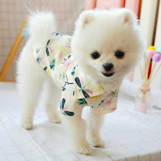 Playera Fresca para Perro Pequeño - Diseño Osito Delgado Verano - Image 13