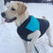 Abrigo Deportivo para Perros Otoño-Invierno | Chaleco Respirable Impermeable
