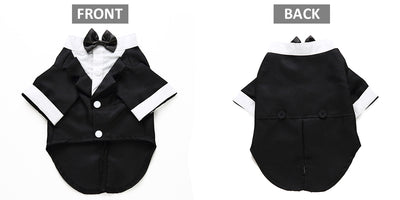 Traje Deportivo para Perros - Image 12