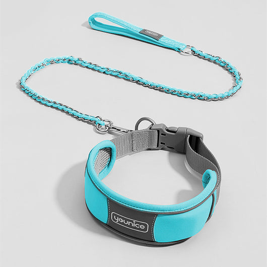 Collar y Correa para Perro Resistente a Tirones con Cierre de Seguridad - Image 13