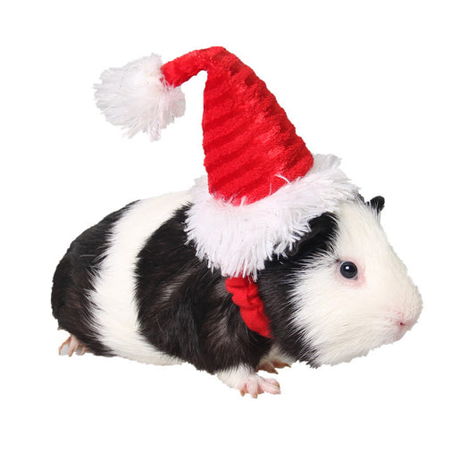 Gorro Navideño Rojo para Erizo con Correas de Franela - Image 2