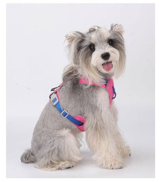 Arnés Multiusos Impermeable de Secado Rápido para Perros - Image 21