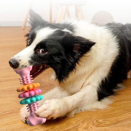Juguete Masticable para Perros - Hueso TPR Resistente para Limpieza Dental - Image 20