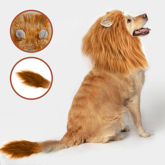 Funda Divertida Cabeza de León - Accesorios Mascotas Rey de la Selva - Image 14
