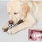 Pelota Interactiva para Perros con Dispensador de Premios y Limpieza Dental