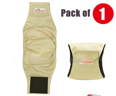 Pañales Fisiológicos Lavables para Perros - Image 4