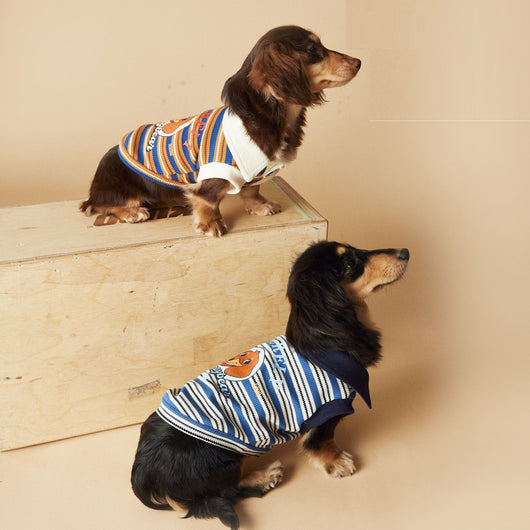 Polo Rayado para Perros Tony Bear - Ropa Cómoda y Elegante - Image 3