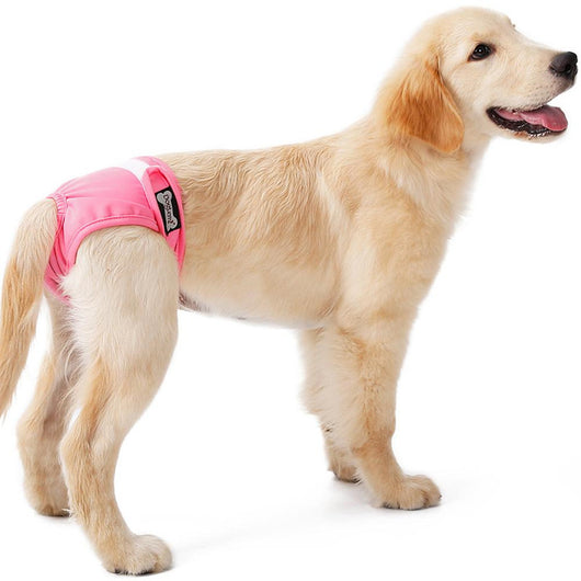 Pantalones Fisiológicos Transpirables para Mujer - Image 8