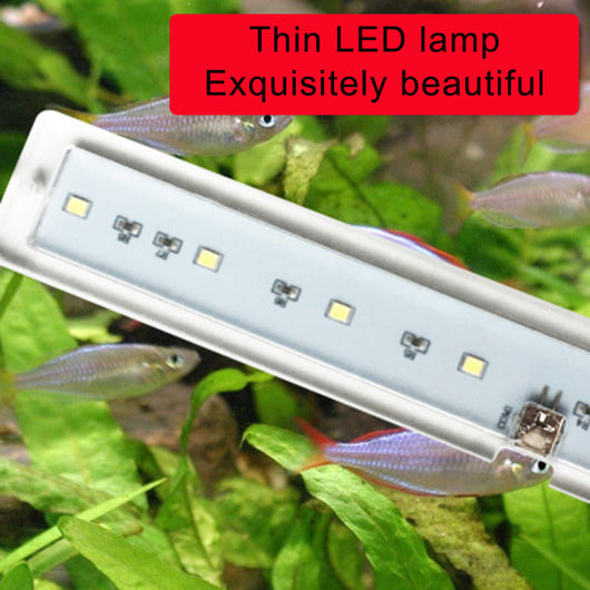 Iluminación LED para Acuarios - Image 2