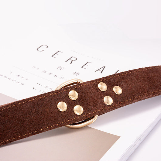 Collar para Perro - Image 4
